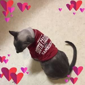 Meet your Posher, Patricia